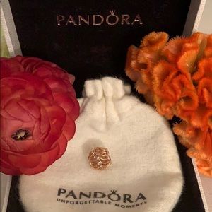 Pandora Charm